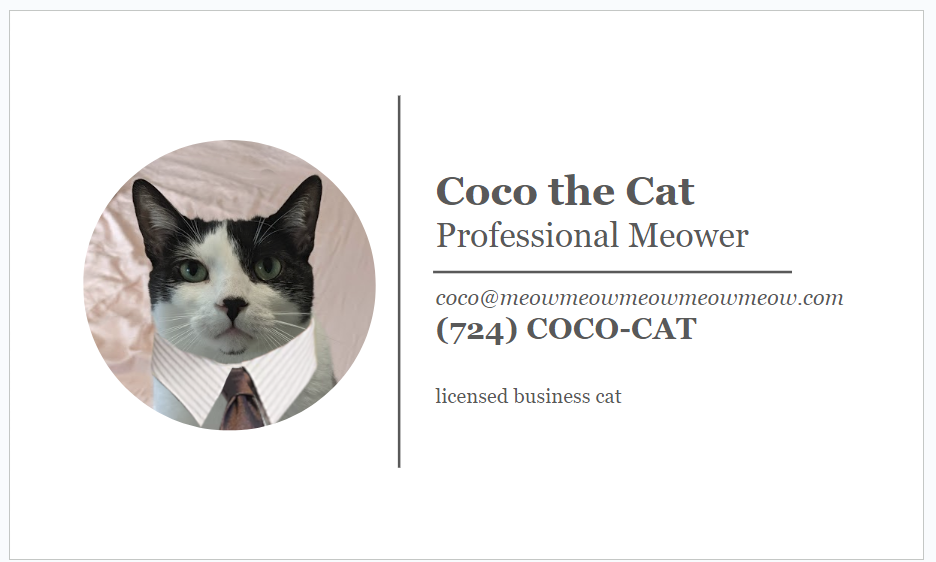 Business card for cats