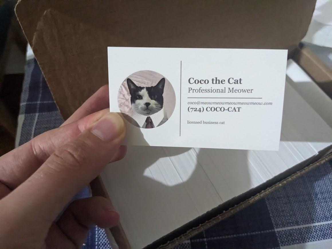 Business card for cats